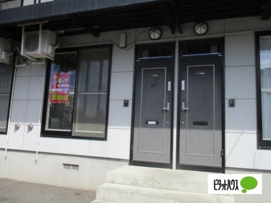 �y�����O�ρz�@�G���g�����X