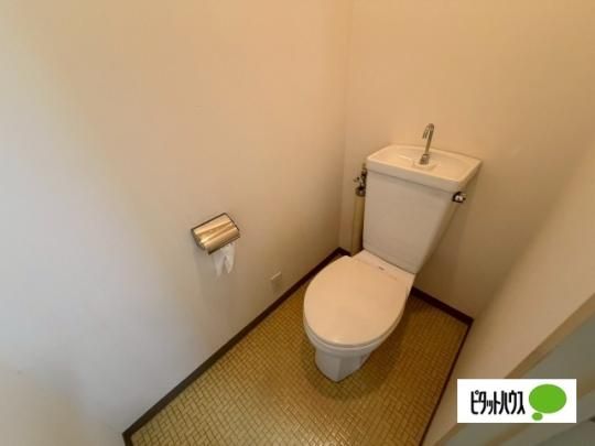 �y���̑��z�@�g�C��
