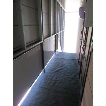 �y�����O�ρz�@�G���g�����X