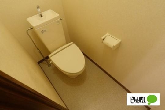 �y���̑��z�@�g�C��