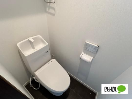 �y���̑��z�@�g�C��