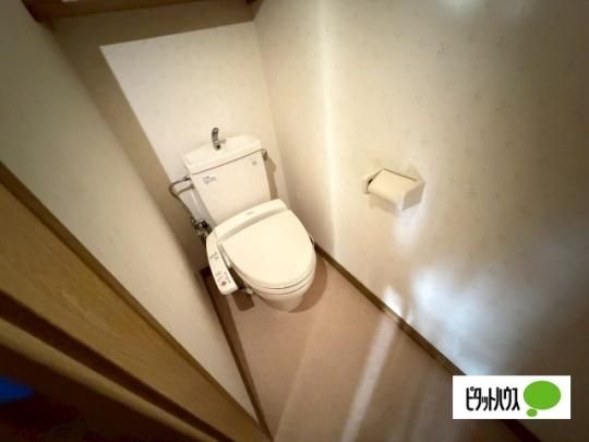 �y���̑��z�@�g�C��