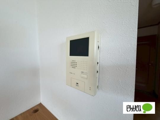 �y���̑��z�@�Z�L�����e�B