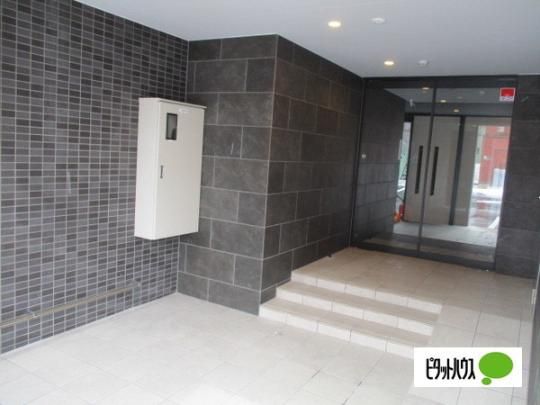 �y�����O�ρz�@�G���g�����X