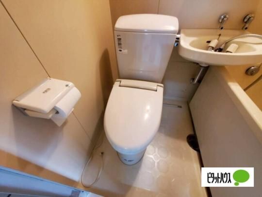 �y���̑��z�@�g�C��