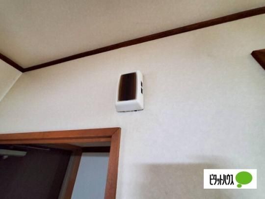 �y���̑��z�@�Z�L�����e�B