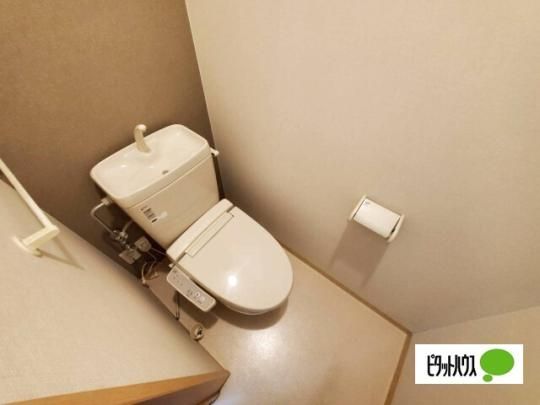 �y���̑��z�@�g�C��