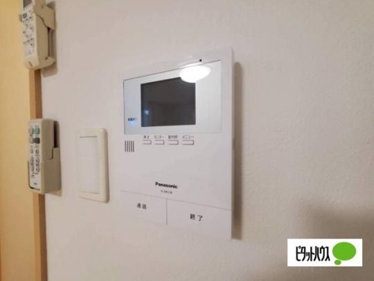 �y���̑��z�@�Z�L�����e�B