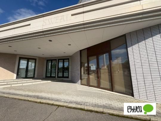 �y�����O�ρz�@�G���g�����X