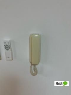 �y���̑��z�@�Z�L�����e�B