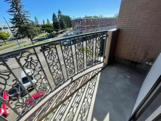 �y���̑��z�@�o���R�j�[