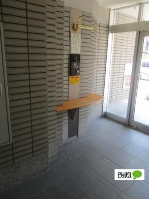 �y�����O�ρz�@�G���g�����X