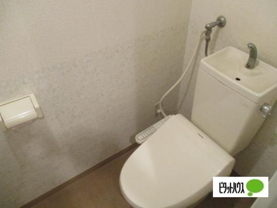 �y���̑��z�@�g�C��