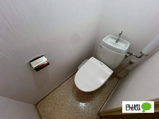 �y���̑��z�@�g�C��