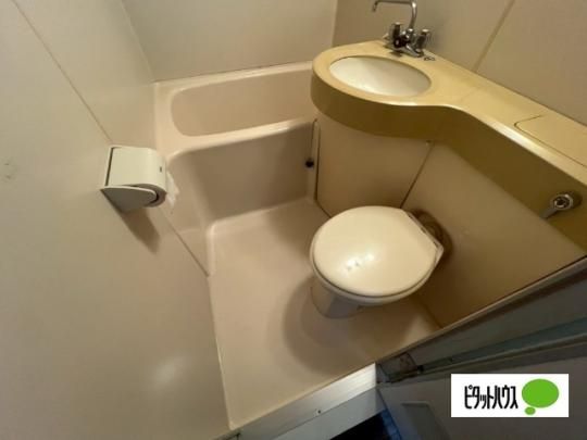 �y���̑��z�@�g�C��