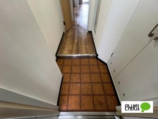 �y���̑��z�@����