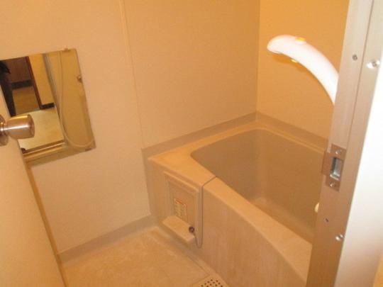 �y���̑��z�@�o�X�^�V�����[