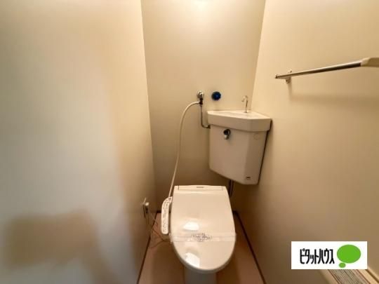 �y���̑��z�@�g�C��