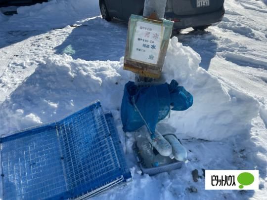 �y�����O�ρz�@���̑�