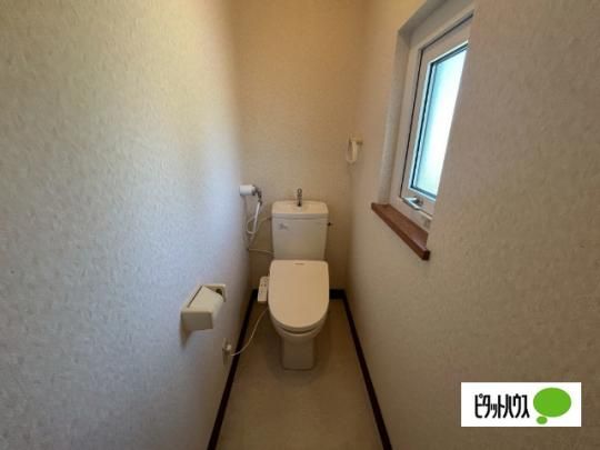 �y���̑��z�@�g�C��