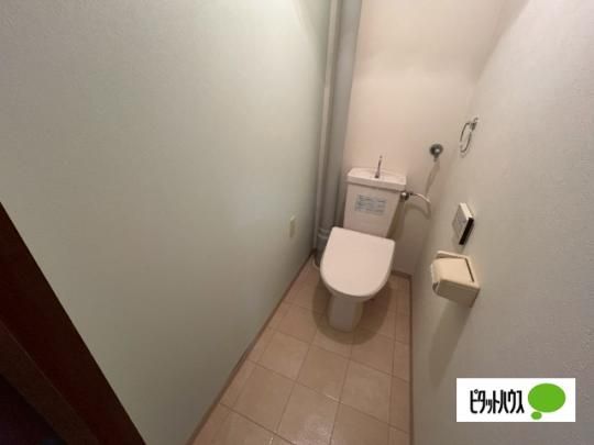 �y���̑��z�@�g�C��