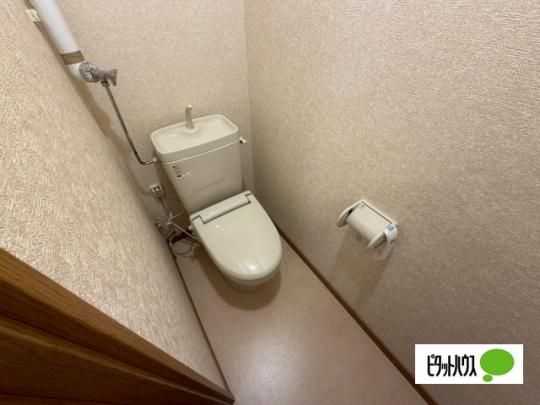 �y���̑��z�@�g�C��