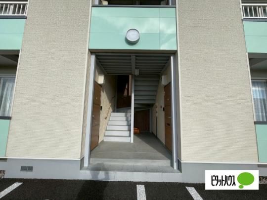 �y�����O�ρz�@�G���g�����X