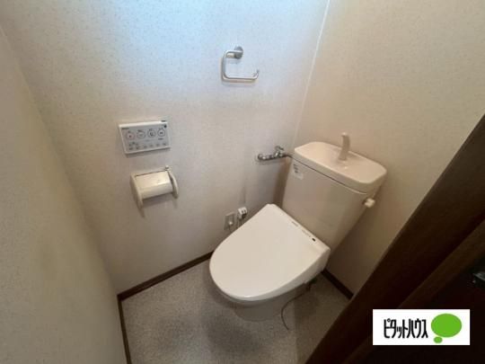 �y���̑��z�@�g�C��