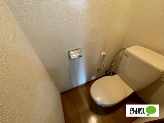 �y���̑��z�@�g�C��