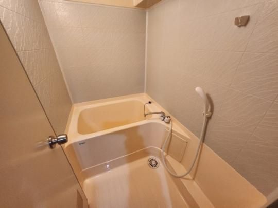 �y���̑��z�@�o�X�^�V�����[