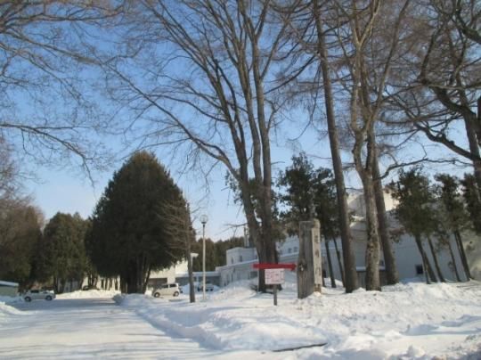 �y���Ӂz�@���ʒ����D�������w�Z�F1480m