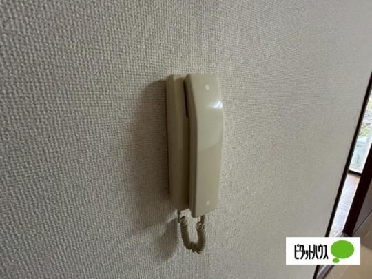 �y���̑��z�@�Z�L�����e�B