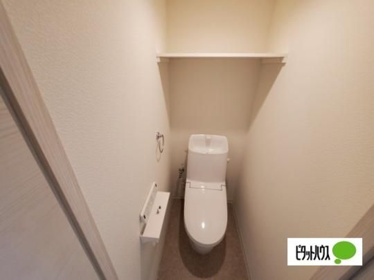 �y���̑��z�@�g�C��