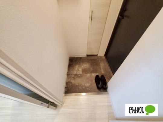 �y���̑��z�@����