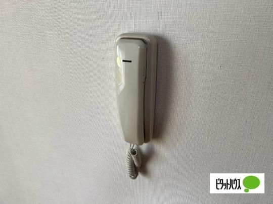 �y���̑��z�@�Z�L�����e�B