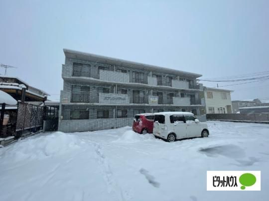 �y�����O�ρz�@���̑�