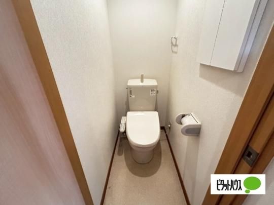 �y���̑��z�@�g�C��