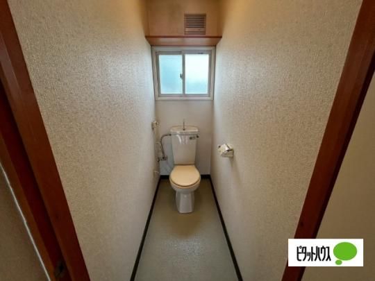 �y���̑��z�@�g�C��