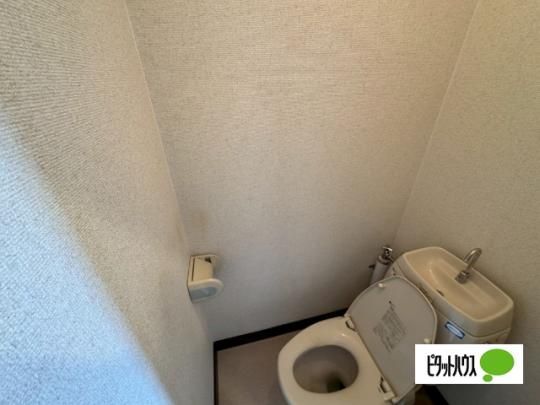 �y���̑��z�@�g�C��