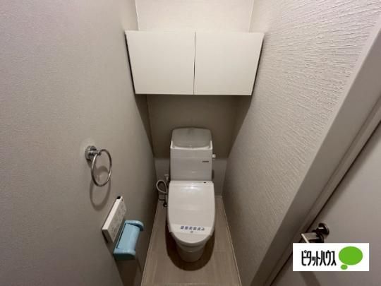 �y���̑��z�@����