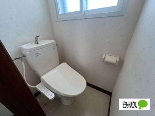 �y���̑��z�@�g�C��