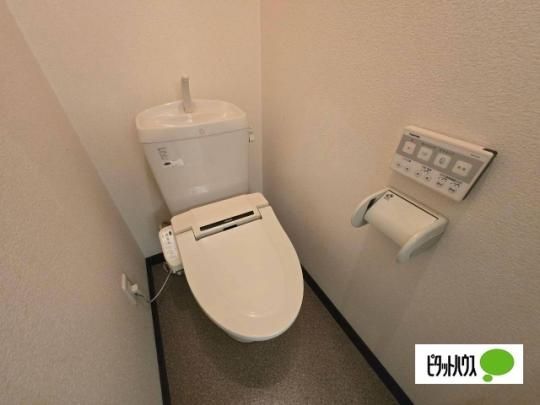 �y���̑��z�@�g�C��