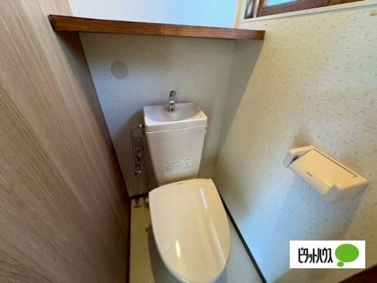 �y���̑��z�@�g�C��