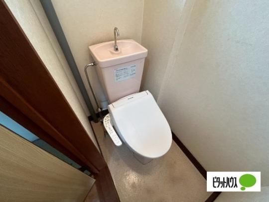 �y���̑��z�@�g�C��