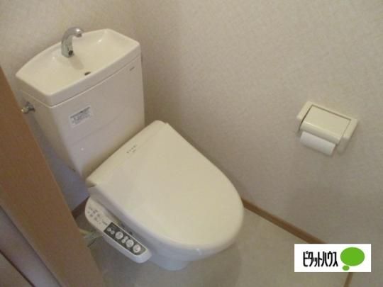 �y���̑��z�@�g�C��