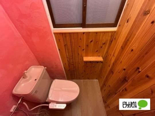 �y���̑��z�@�g�C��