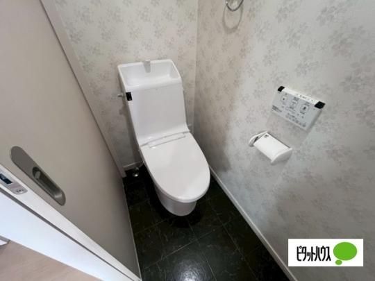 �y���̑��z�@�g�C��