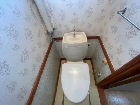 �y���̑��z�@�g�C��