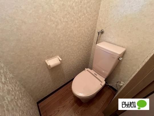�y���̑��z�@�g�C��