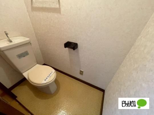 �y���̑��z�@�g�C��